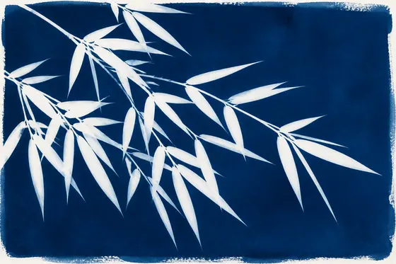 Cyanotype (In đơn sắc xanh) — kết quả từ ChatGPT image generation (legacy atlas).